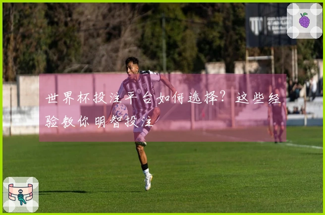 世界杯投注平台如何选择？这些经验教你明智投注