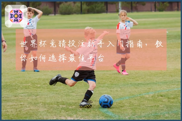 世界杯竞猜投注新手入门指南，教你如何选择最佳平台