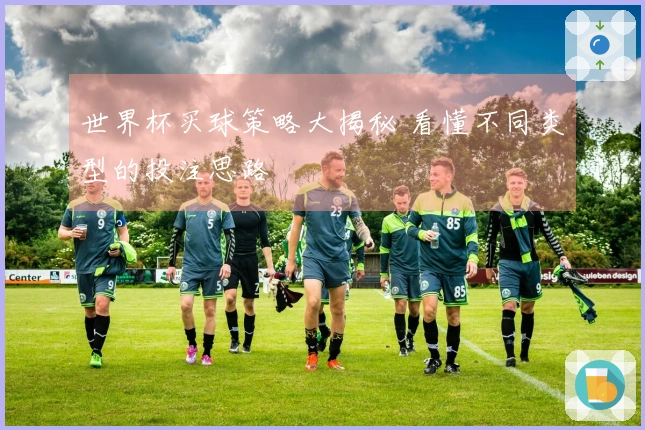 世界杯买球策略大揭秘 看懂不同类型的投注思路