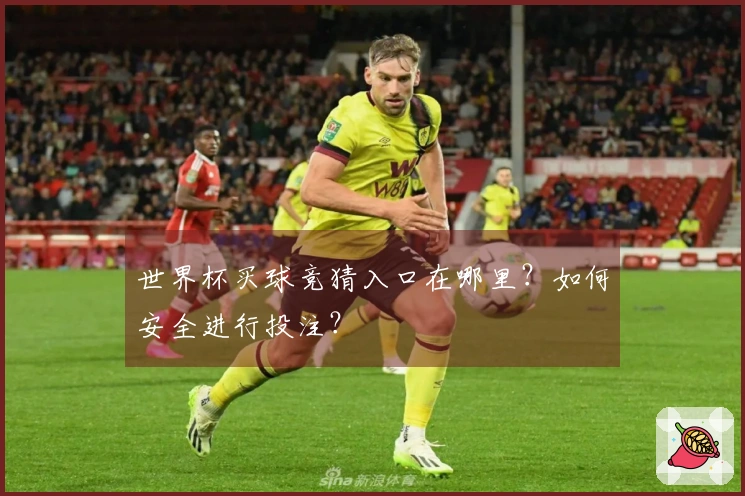 世界杯买球竞猜入口在哪里？如何安全进行投注？