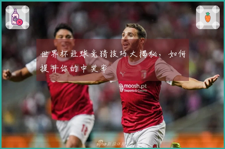世界杯让球竞猜技巧大揭秘，如何提升你的中奖率